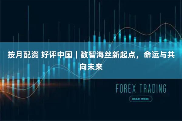按月配资 好评中国｜数智海丝新起点，命运与共向未来